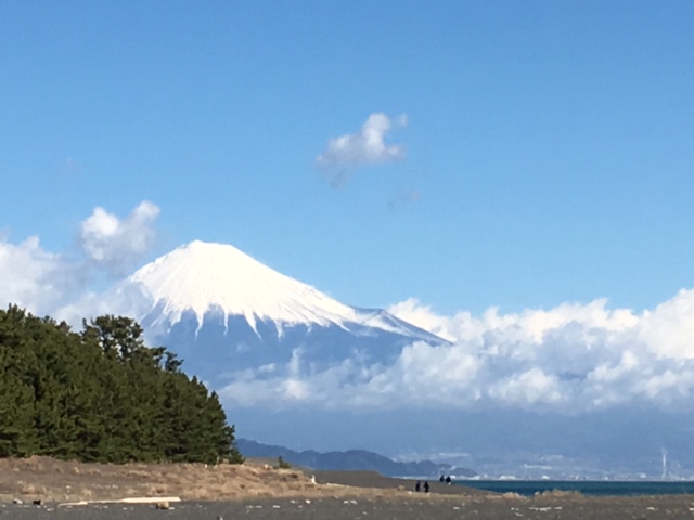 三保松原保全活用条例